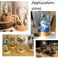 thumbnail image 6 of 4Sets Glass Dome with Cork Base 2.75x1.96 Mini Glass Dome Eternal Flower Glass Display Dome Cloche Half Round Clear Glass Display Case Cloche Bell Jar Cloche for Wedding Valentine's Day, 6 of 6
