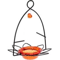 Birds Choice 3-oz. Oriole Flower Feeder, Orange