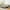 Gray, variant on Harper & Bright Designs Upholstered Daybed with Pop up Trundle, Wooden Twin Daybed Frame with Extendable Trundle, Tufted Sofa Bed Daybed, Pink