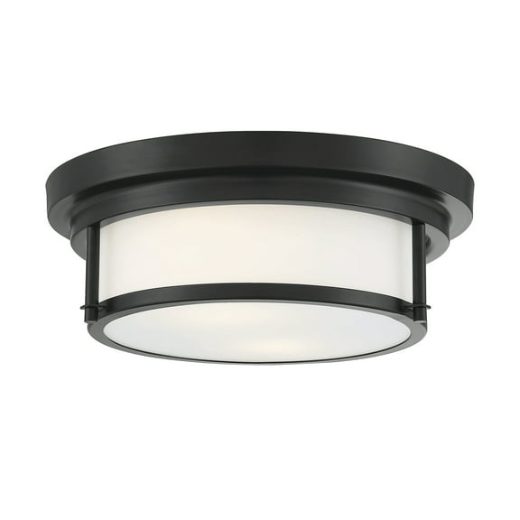 Trade Winds Lighting 2-Light Ceiling Light In Matte Black