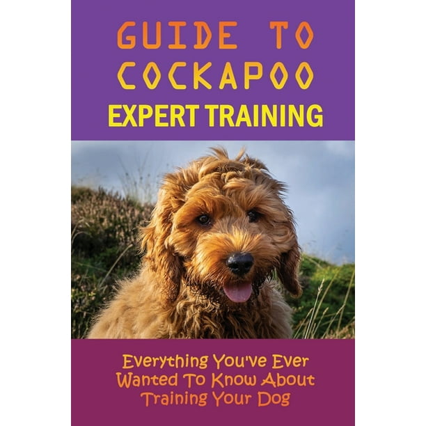 Guide To Cockapoo Expert Training Everything