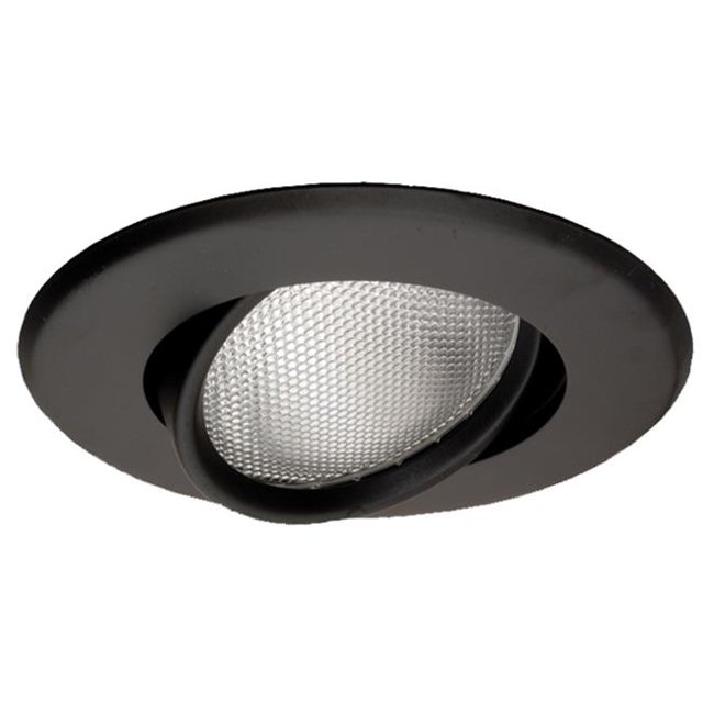 Anneau à Cardan Noir de 5 Po 50W R-PAR30