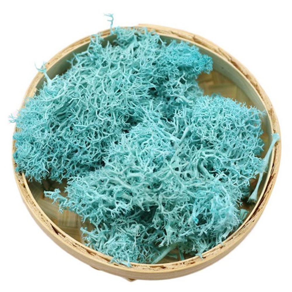 Artificial Moss Decorative Sphagnum Moss Dry Natural Fresh Flowers