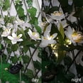 thumbnail image 5 of Buy 2 get 10% off Solar Flowers Decorative Lights, Outdoor Garden Waterproof Flower Lights, Solar Stake Lights Home Decor, 5 of 5