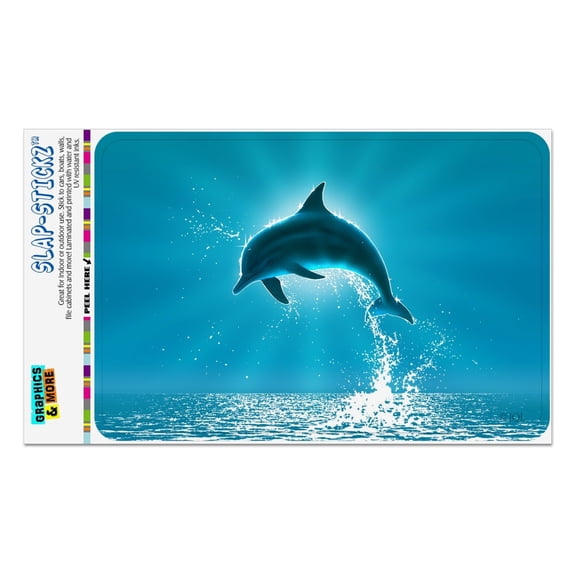 Leaping Dolphin Ocean Light Home Business Office Sign