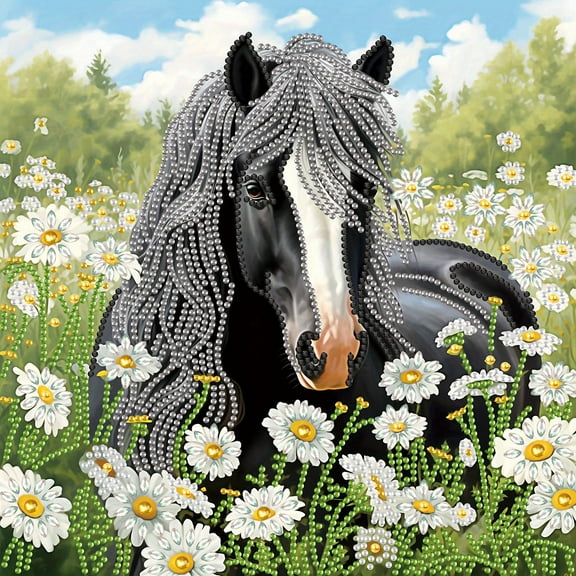 5D DIY diamond art painting kit, handsome black horse special shape diamond canvas, namely can decompression relaxation and can be used for home wall decoration