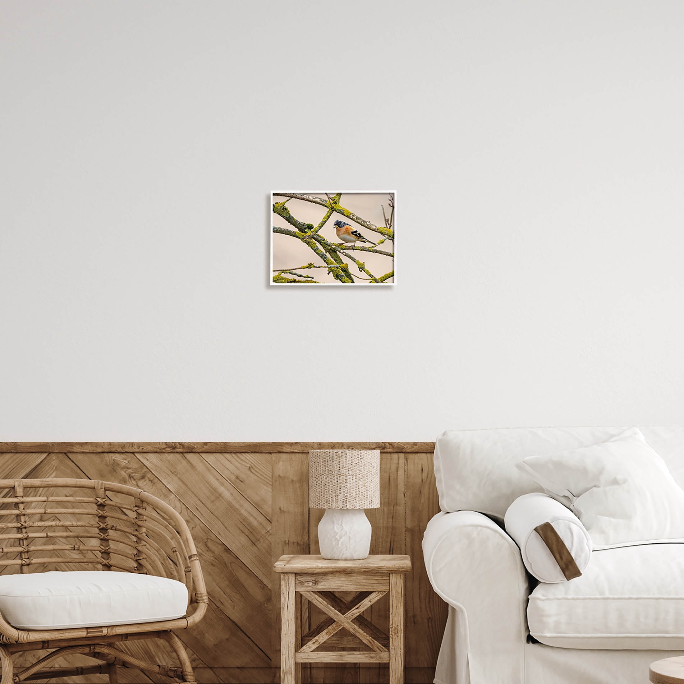 Stupell Industries Orange Bird Mossy Tree Branch Photograph White Framed Art Print Wall Art, Design by Lil' Rue