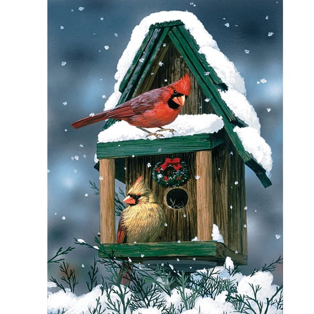 Wdftyju 5D Kit Rhinestone Imágenes DIY Snow Bird Taladro Redondo Completo Pintura Artesanal Wdftyju 6lz3np3fl7vv5bx2