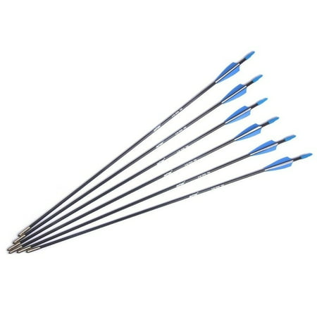 6 pcs Fiberglass Arrows Set 28 inches Spine 700 Arrow with Blue and White Feather Blue Nock For Archery Hunting (Best Foc For Hunting Arrows)
