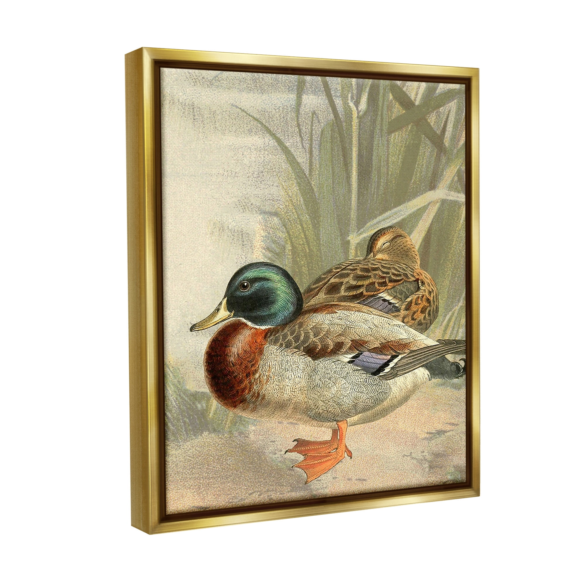 Stupell Industries Pond Ducks Relaxing Animals & Insects Painting Gold Floater Framed Canvas Art Print Wall Art, 17 x 21