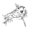thumbnail image 2 of Vess, June Erica 12x12 Black Ornate Wood Framed with Double Matting Museum Art Print Titled - Simple Songbird Sketches I, 2 of 4
