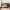 Walnut, variant on Twin over Twin Bunk Bed with Twin Size Trundle & Storage Stairs, Solid Wood Bed Frame for Dorm, Kids Bedroom, No Box Spring Needed, Espresso