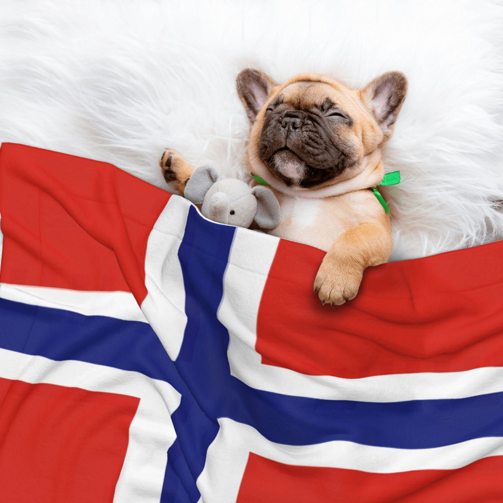 Flannel Throw Dog Blanket Norwegian Flag Soft Warm Print Pet Blankets for Small Dog Cat Puppy