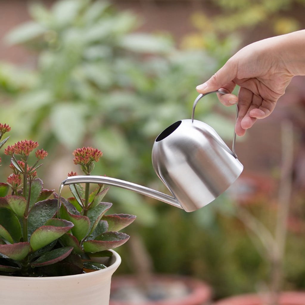 Stainless steel watering can pot with long spout for outdoor indoor office 