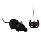 thumbnail image 4 of Juguete de ratones RC Hugo control remoto negro para gatos y perros, 4 of 9