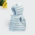 thumbnail image 3 of Diufon Toddler Hooded Warm Vest Infant Boys Girls Fall Winter Sleeveless Windproof Padded Zip-up Jackets, 3 of 7