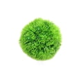 thumbnail image 1 of Bola De Musgo Simulada Verde Falso Vivo Realista Durable Planta De Acuario Planta Acuática Algas Decorativas Bola De Purificación De Agua Para Acuario Peces Terrario Jardín Hogar Minnieouse HA026551-01, 1 of 5