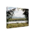 thumbnail image 2 of Trademark Fine Art 'Pacific Northwest Oregon X' Canvas Art by Adam Mead, 2 of 4