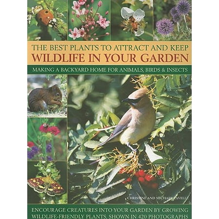 The Best Plants to Attract and Keep Wildlife in Your Garden : Making a Backyard Home for Animals, Birds & Insects, Encourage Creatures Into Your Garden by Growing Wild-Life Friendly Plants, Shown in 420 (Best Plants To Attract Hummingbirds)