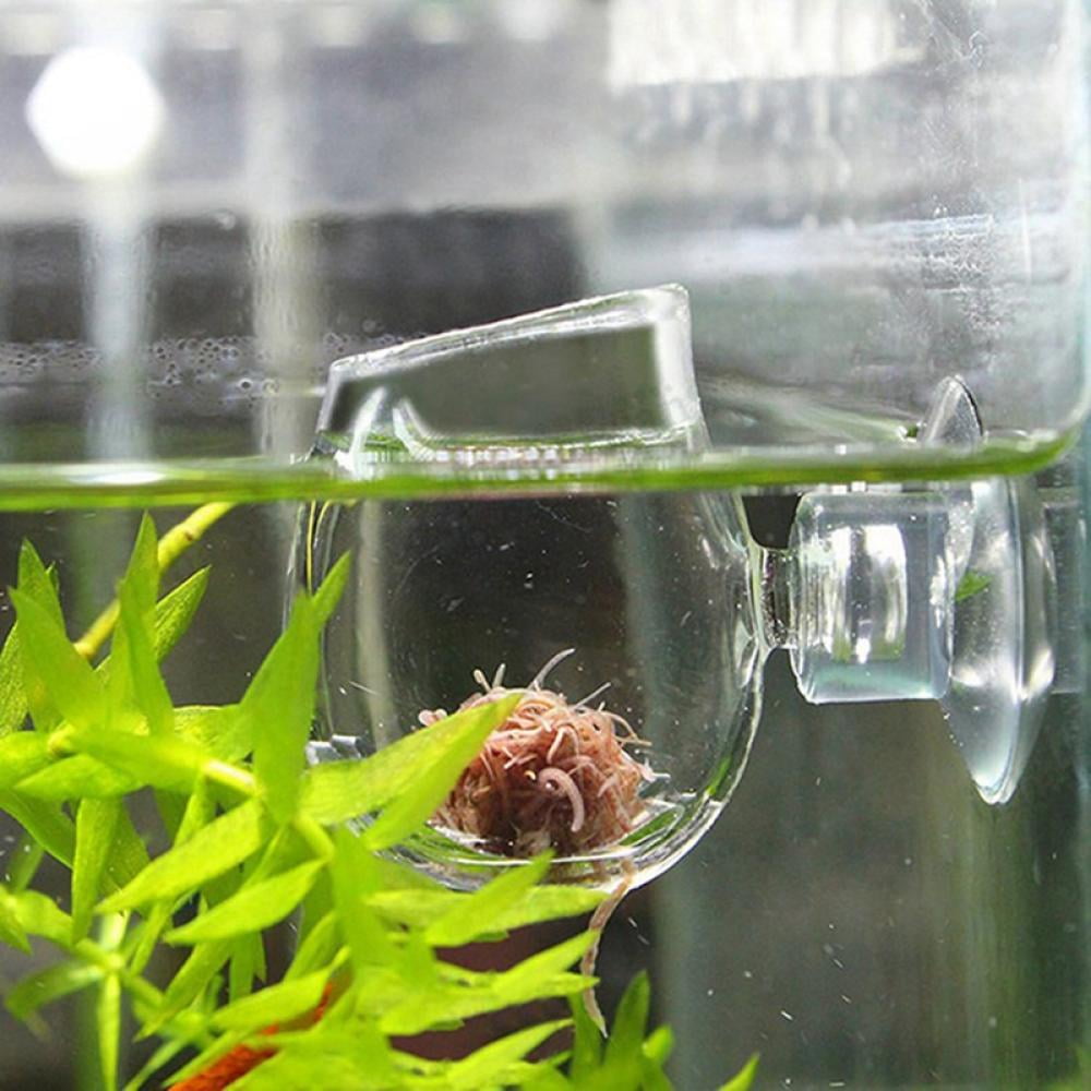 Aquarium Glass Feeding Cone Cup Plant Cup Brine Shrimp Live Red Worm Fish Feeder for Aquariums with Suction