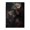 1000 Pieces, variant on 500-Piece Wooden Jigsaw Puzzle for Adults - Wolves Heads Predator Fangs , Fun & Relaxing Interlocking No-Dust Puzzle for Family, Home Decor & Holiday Gifts