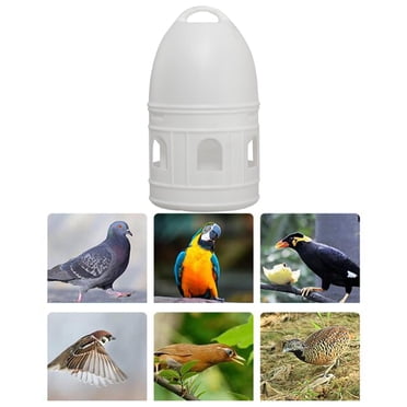 Pigeon Waterer Drinker Automatic Bird Water Dispenser For Dove Parrot Canary 8l