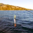 thumbnail image 2 of Paquete de 2-4 señuelos de pesca blandos, aparejos de pesca artificiales duraderos, calamar elástico vívido 2 piezas, 2 of 8