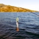 thumbnail image 2 of Paquete de 2-4 señuelos de pesca blandos, aparejos de pesca artificiales duraderos, calamar elástico vívido 2 piezas, 2 of 8
