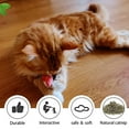 thumbnail image 6 of Interactive for Cute Plush Dolls with and Bell Filled with Chew Toy for Cats Teeth Cleaning 3-Pi, 6 of 8