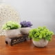 thumbnail image 5 of Labymos Mini plantas artificiales en maceta, maceta, 5 of 8