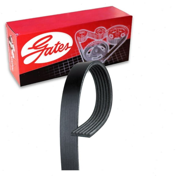 Gates Micro-V Serpentine Belt compatible with Ford Fusion 3.0L 3.5L V6 2010-2012