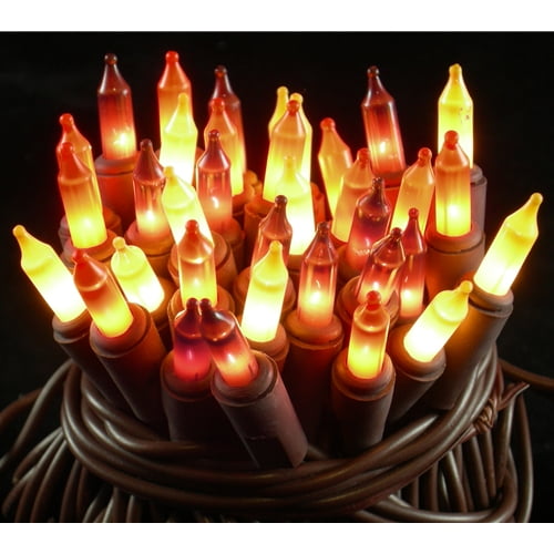 Electric Plug-In String Lights Fall Harvest String Lights 35 Mini Lights Fall Colors Translucent