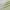 Green, variant on Pinewave Blackout Curtain Panels with Sheer Overlay Mix and Match Double Layer Thermal,Grommet Top,37"Wx84"L,White,2 Panels