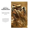 thumbnail image 2 of BRIGHTFUFU Caja de acrílico para reptiles, contenedor de alimentación para mascotas trepadoras, caja de cría transparente, 2 of 8