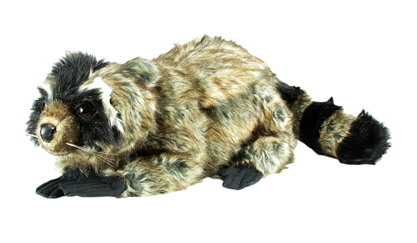 large stuffed raccoon