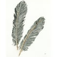 thumbnail image 3 of Paschke, Chris 20x24 Black Modern Framed Museum Art Print Titled - Gold Feathers IV on Grey, 3 of 5