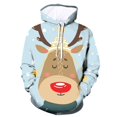 thumbnail image 1 of Sudadera con capucha Gibobby Navidad Aqua L, 1 of 2