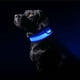 thumbnail image 3 of Collares para perros iluminados El collar para perros LED hace que sus queridos perros sean vistos por la noche, 3 of 7