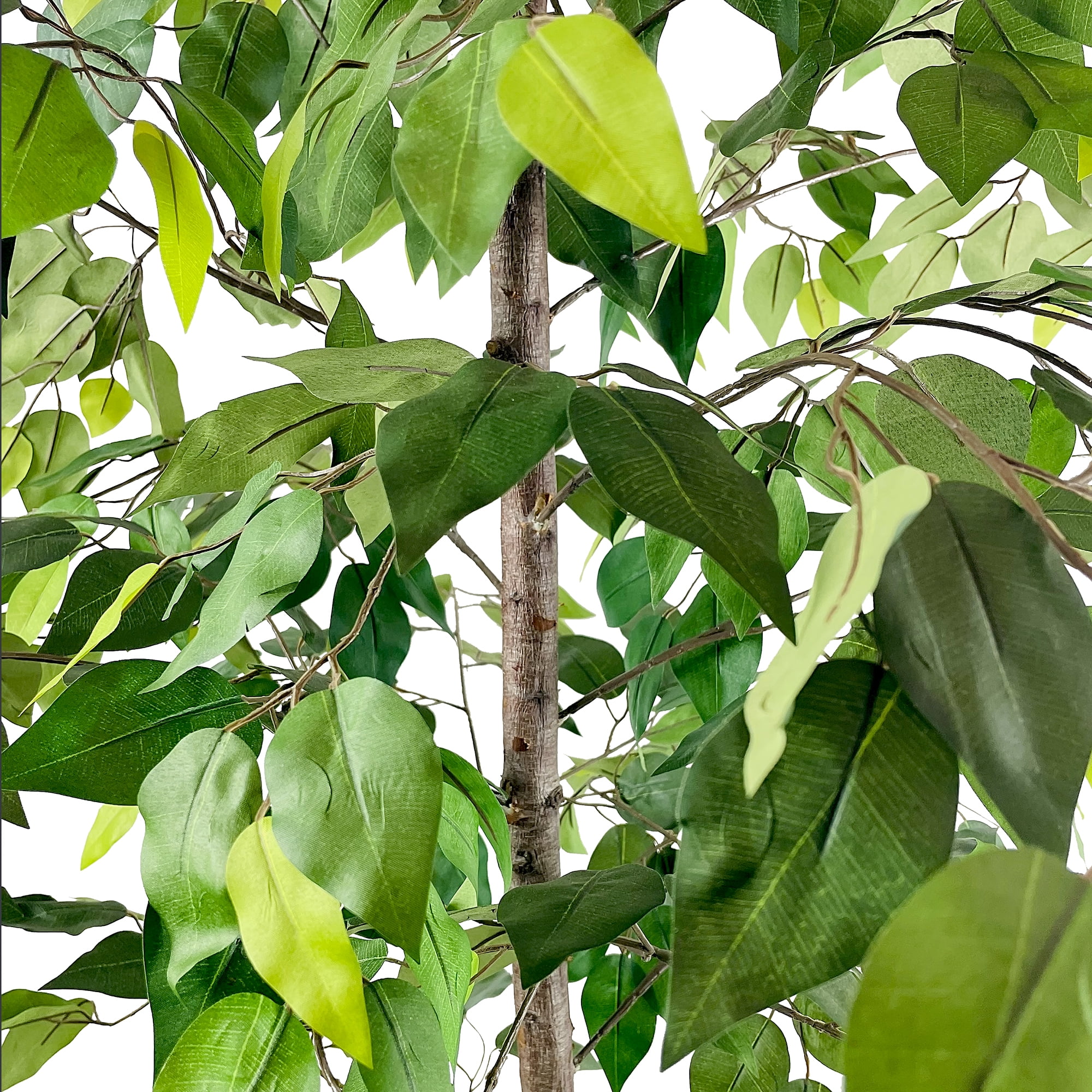Mainstays Artificial Tree, Ficus Tree, 6 ft, Black Embossed Metal Planter