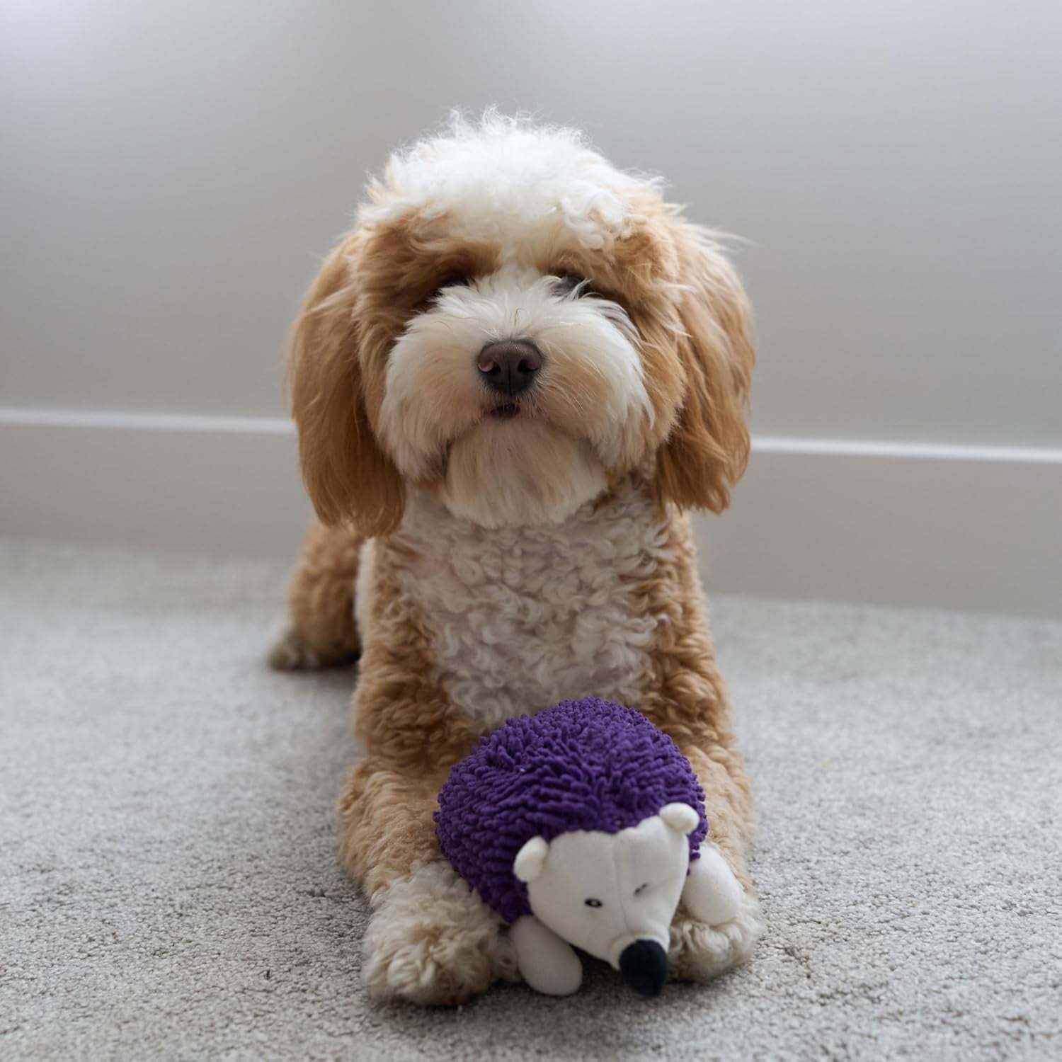SPOT Gigglers Hedgehog Dog Toy with Giggle Sound for Small and Medium Breeds