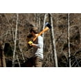 thumbnail image 5 of 1844 Helko Werk Germany - Förster Professional Medium Felling Axe for Felling Trees and Firewood - Head 3.5 lb, Handle 31 in (Medium Felling) #10456, 5 of 7