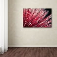 thumbnail image 3 of Trademark Fine Art "Sonata in Red" Canvas Art by Beata Czyzowska Young, 3 of 3