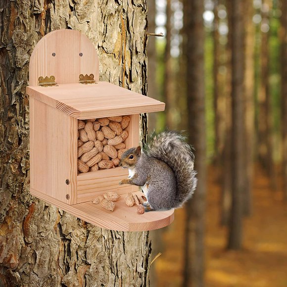Outdoor Squirrel FeederIn Squirrel Food Dispenser, Squirrel House