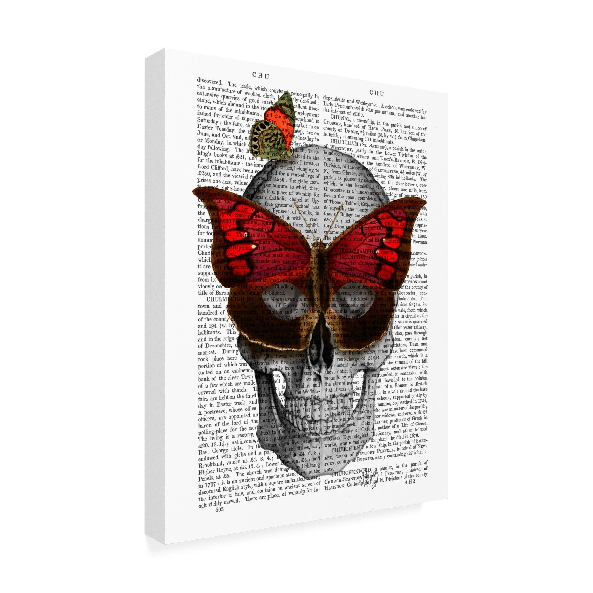 Trademark Fine Art 'Pink Butterfly Mask Skull' Canvas Art by Fab Funky