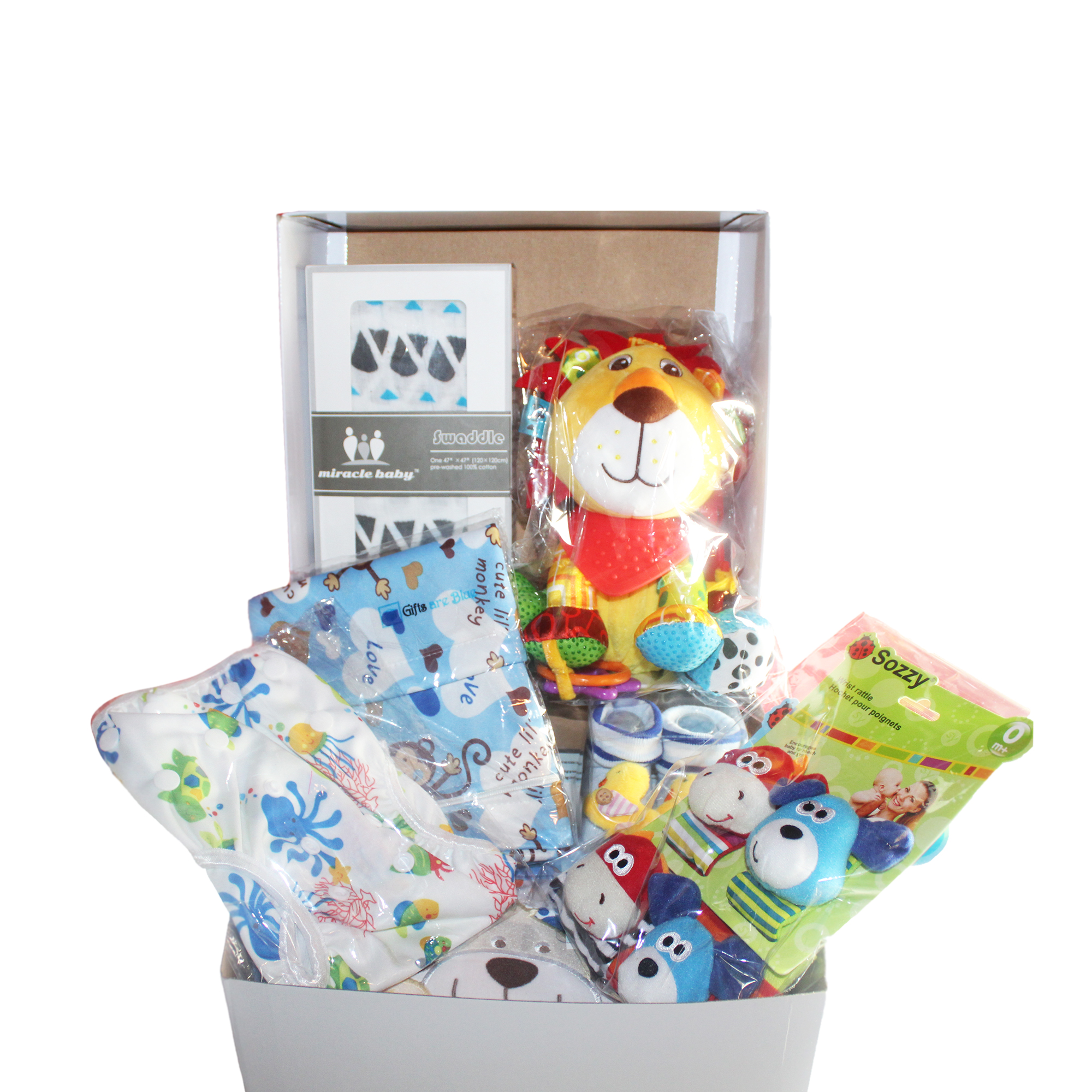 baby boy bundle gifts