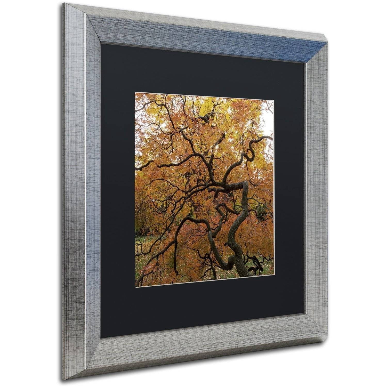 Trademark Fine Art "October Japanese Maple" Canvas Art by Kurt Shaffer, Black Matte, Silver Frame
