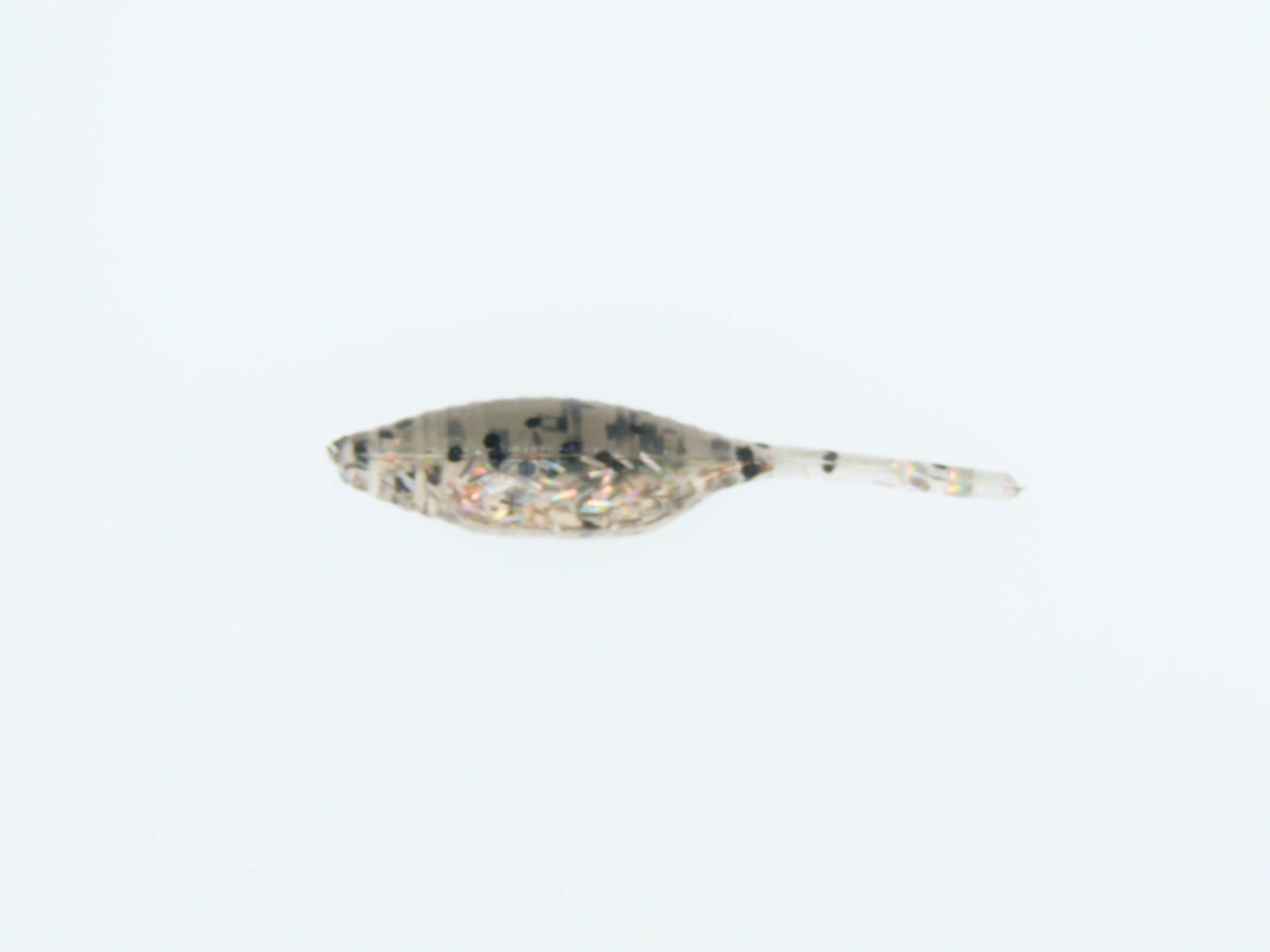 Bass Assassin Tiny Shad Assassin - D's Fishing Spot