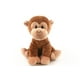 hide and seek monkey toy