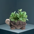 thumbnail image 6 of deevoka Animal Planter Pot Art Collection Pot for Courtyard Yard Bookshelf Turtle, 6 of 9