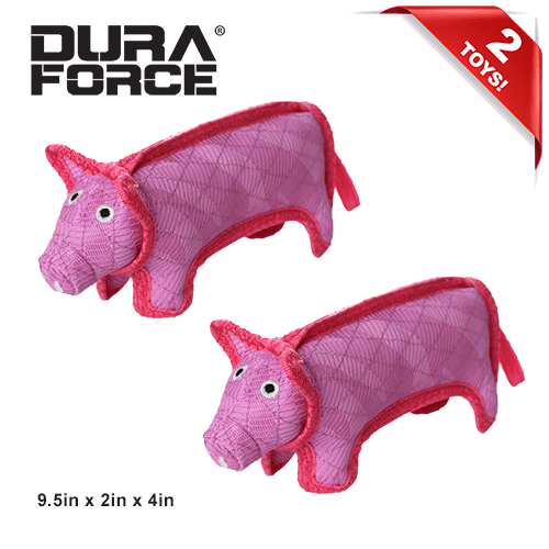 DuraForce Pig Tiger Pink-Pink, 2-Pack Durable Dog Toys